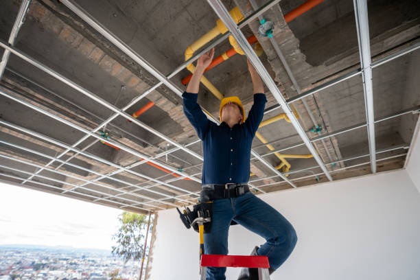 Best Commercial Plumbing Services  in Nocatee, FL