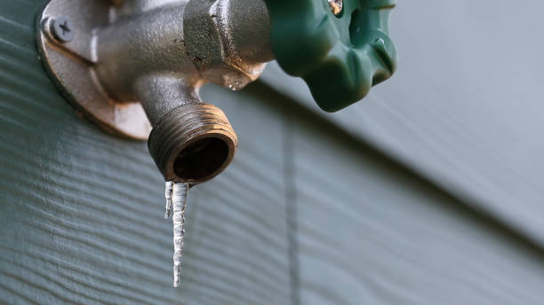 Best Septic Systems  in Nocatee, FL