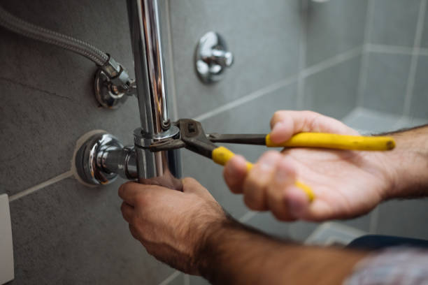 Best Plumbing Services Near Me  in Nocatee, FL